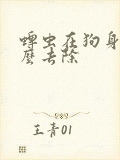 蜱虫在狗身上怎么去除