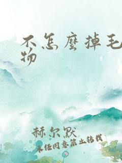 不怎么掉毛的宠物