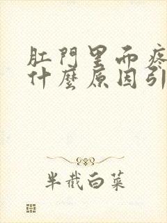 肛门里面疼痛是什么原因引起的