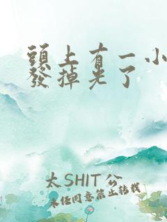 头上有一小块头发掉光了