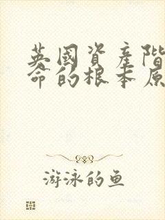 英国资产阶级革命的根本原因