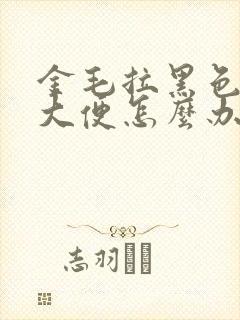 金毛拉黑色的稀大便怎么办