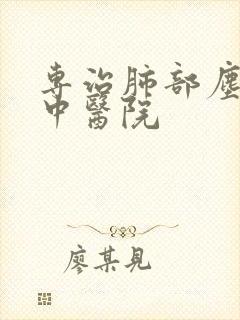 专治肺部尘病的中医院