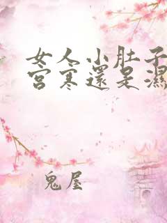 女人小肚子大是宫寒还是湿气重