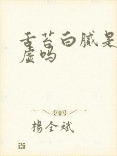 舌苔白腻是肾阴虚吗