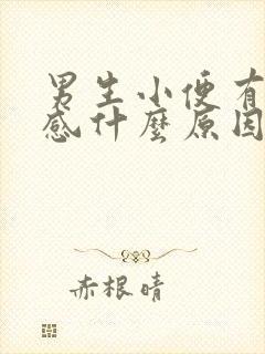 男生小便有刺痛感什么原因