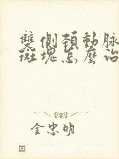 双侧颈动脉血管斑块怎么治