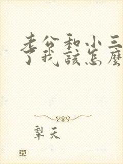 老公和小三同居了我该怎么办