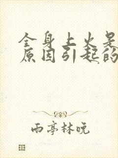 全身上火是什么原因引起的