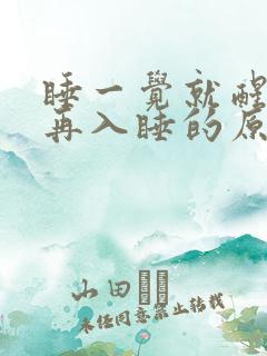 睡一觉就醒很难再入睡的原因