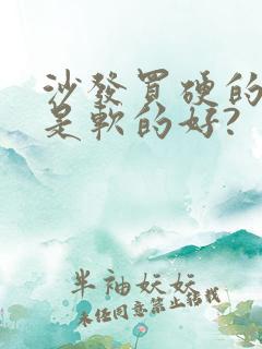 沙发买硬的好还是软的好?