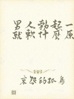 男人勃起一会儿就软什么原因