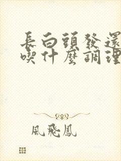 长白头发还掉发吃什么调理