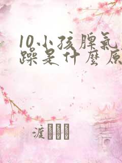 10小孩脾气暴躁是什么原因?