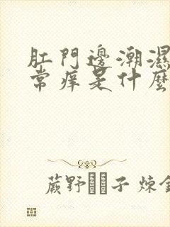 肛门边潮湿又经常痒是什么原因