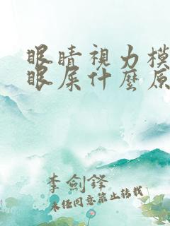 眼睛视力模糊有眼屎什么原因