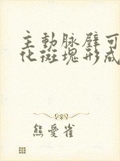 主动脉壁可见钙化斑块形成