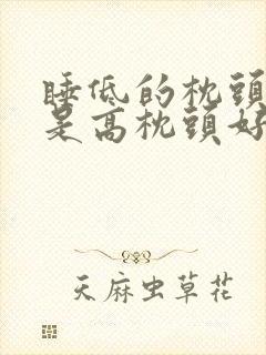 睡低的枕头好还是高枕头好