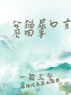 公猫尿口有血怎么回事