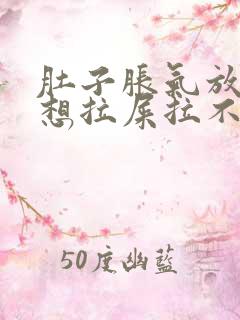 肚子胀气放屁多想拉屎拉不出来