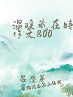 温暖藏在时光里作文800