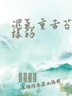 湿气重舌苔是怎样的