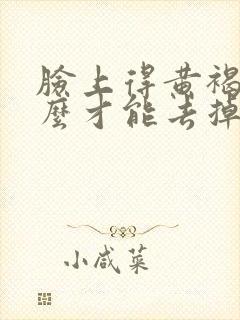 脸上得黄褐斑怎么才能去掉