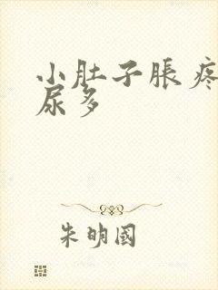 小肚子胀疼夜间尿多