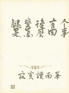 腿弯后有个疙瘩是怎么回事