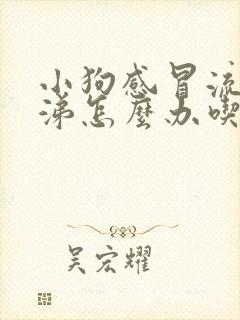 小狗感冒流黄鼻涕怎么办吃什么药