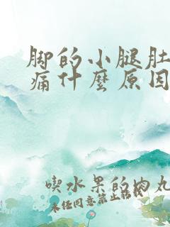 脚的小腿肚子胀痛什么原因