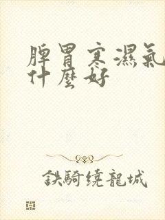 脾胃寒湿气重吃什么好