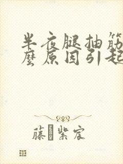 半夜腿抽筋是什么原因引起的女性