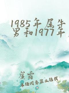 1985年属牛男和1977年属蛇女的婚姻