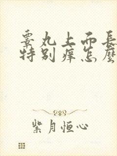 睾丸上面长疙瘩特别痒怎么回事