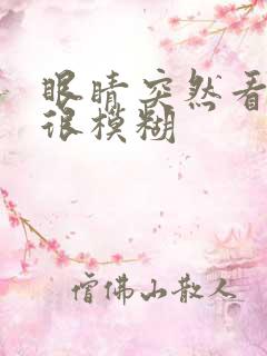 眼睛突然看东西很模糊