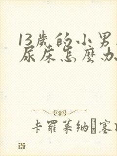 13岁的小男孩尿床怎么办