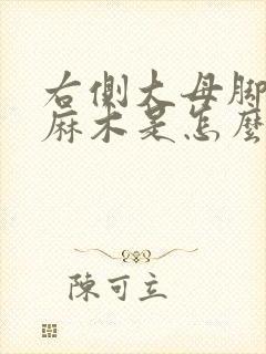 右侧大母脚趾发麻木是怎么回事