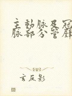 主动脉及冠状动脉部分管壁钙化怎么治疗