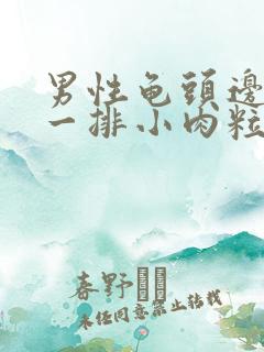 男性龟头边缘有一排小肉粒