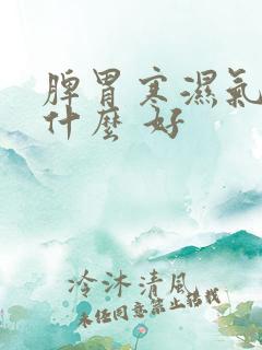 脾胃寒湿气重吃什么 好