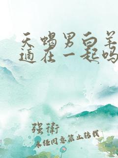 天蝎男白羊女合适在一起吗