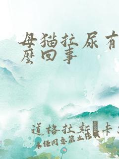 母猫拉尿有血怎么回事