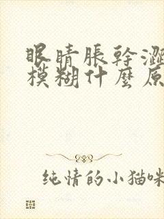 眼睛胀干涩视力模糊什么原因引起的