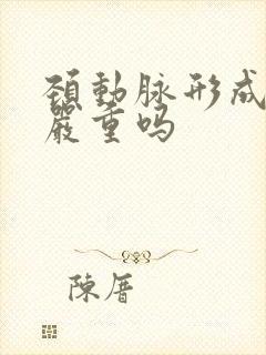 颈动脉形成斑块严重吗