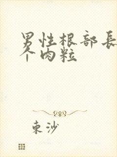 男性根部长了一个肉粒