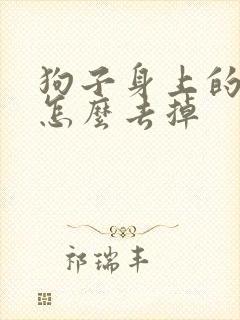 狗子身上的蜱虫怎么去掉