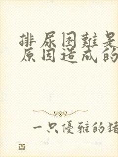 排尿困难是什么原因造成的