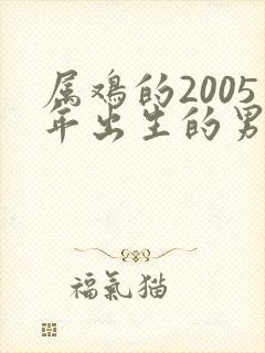 属鸡的2005年出生的男孩命运如何