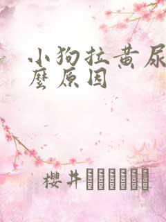 小狗拉黄尿是什么原因